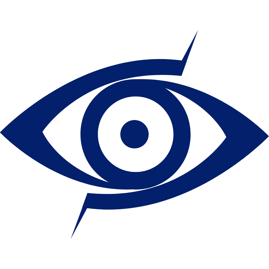 Vision